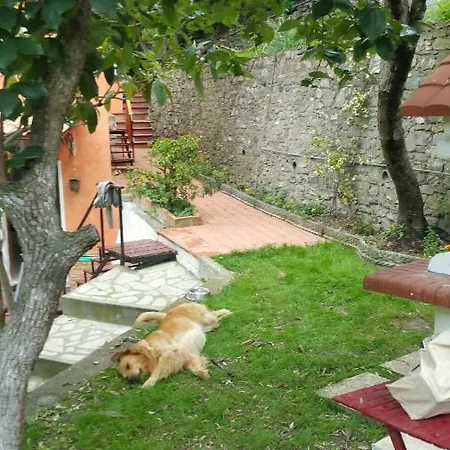 Le Terrazze * Alassio